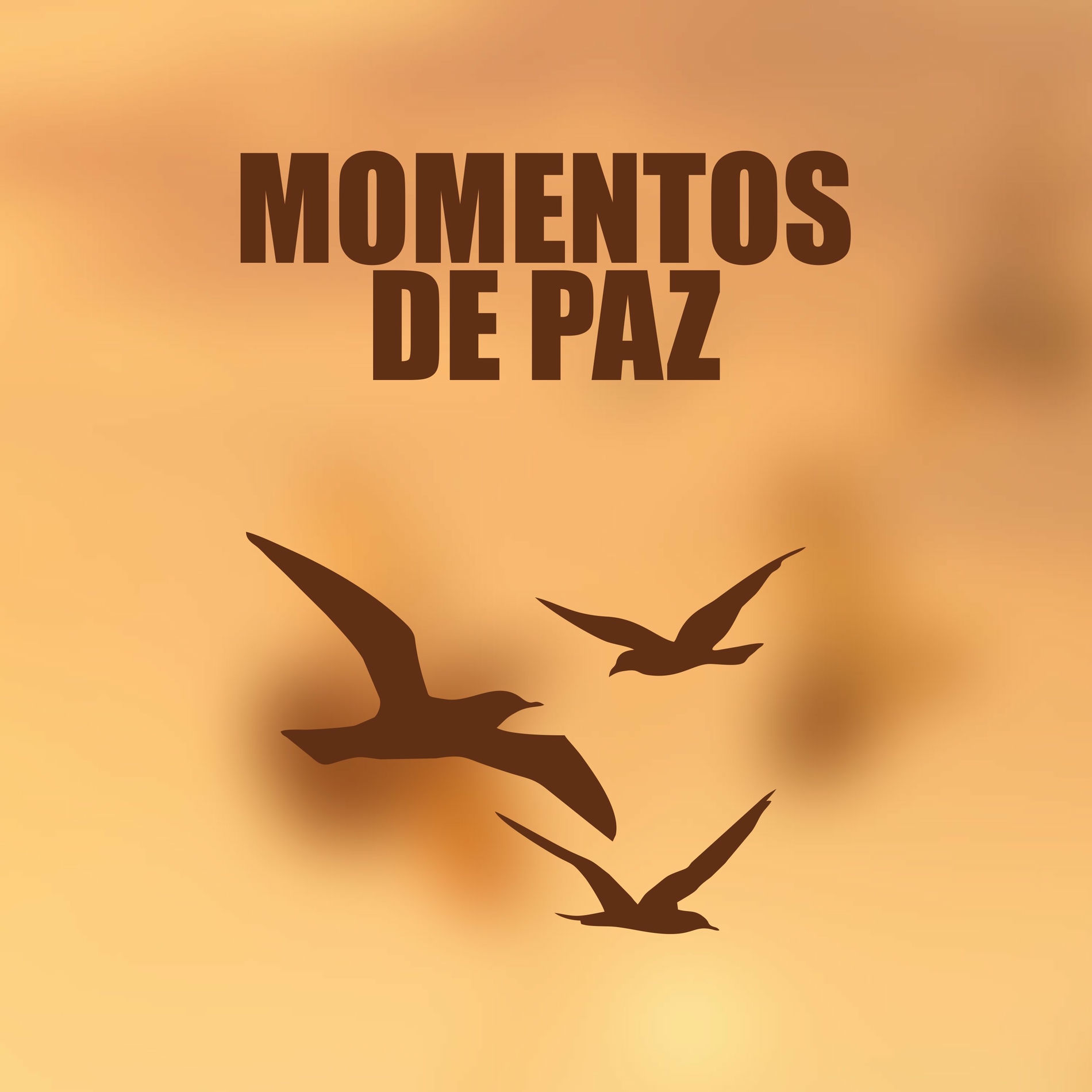 Album cover of Momentos de Paz