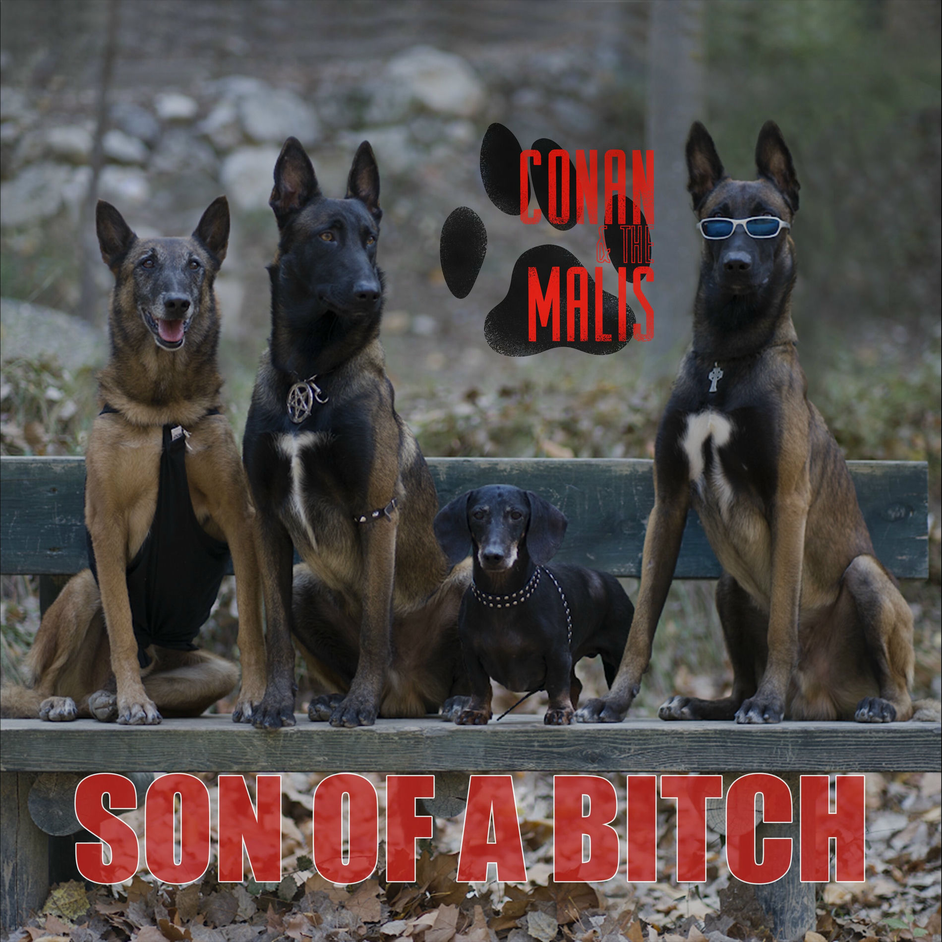 Album cover of Son Of A Bitch