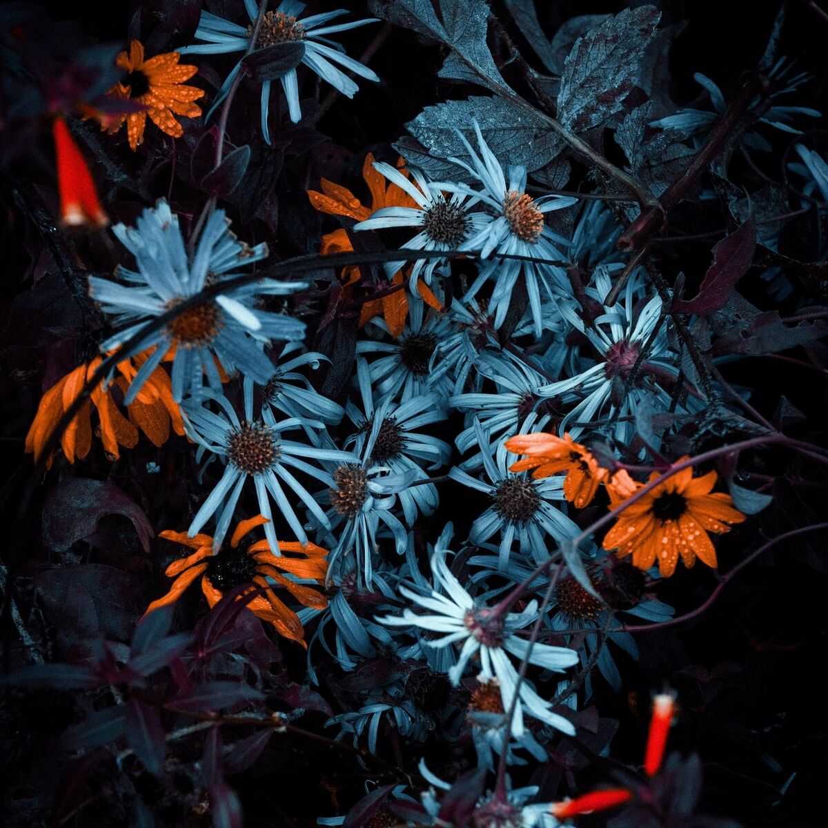Album cover of can you do that again?