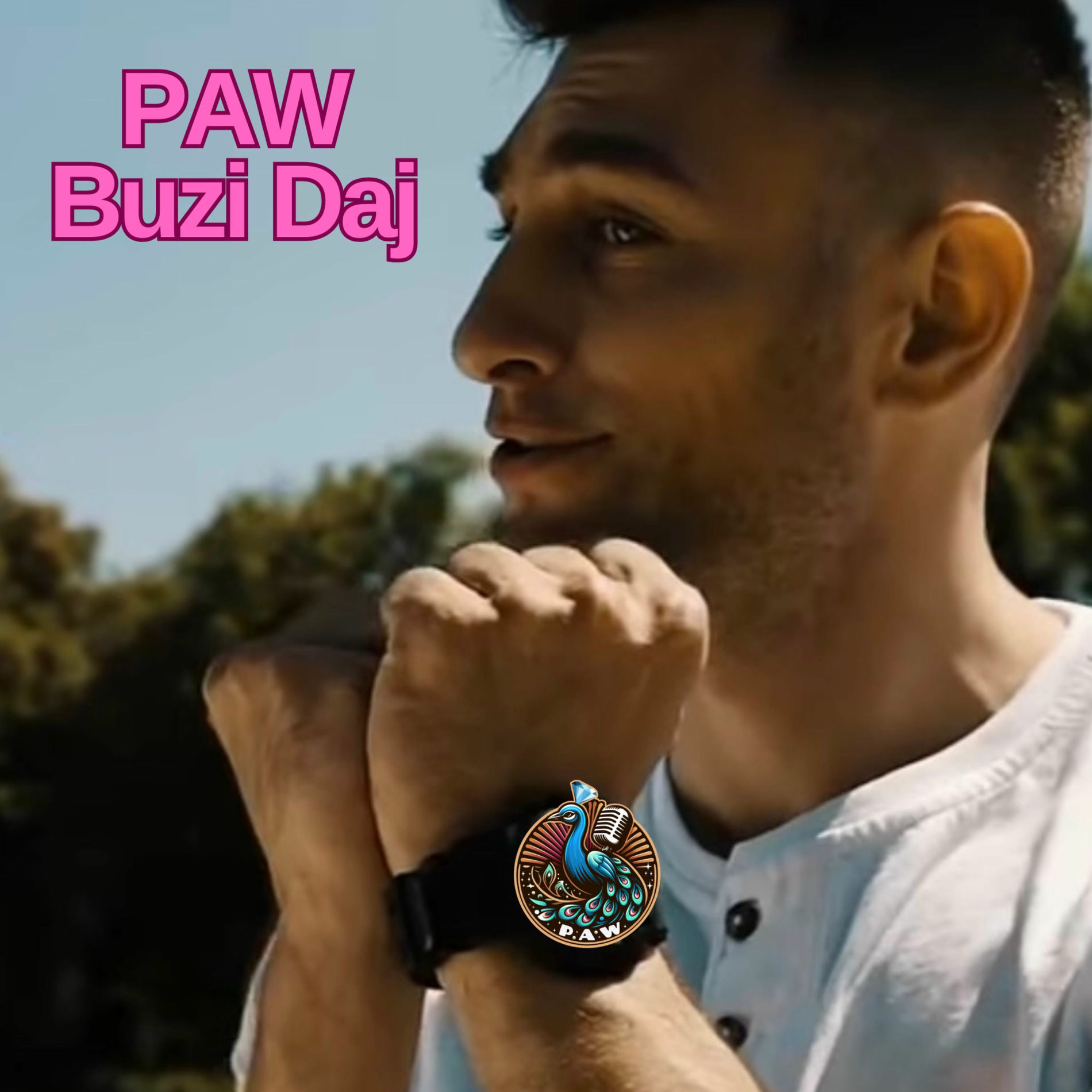 Album cover of Buzi Daj