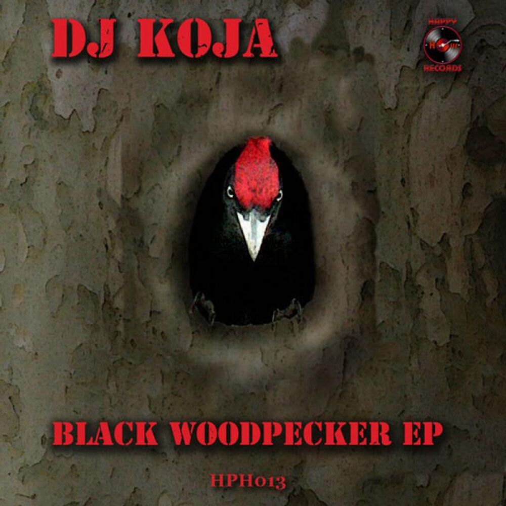 Picture of Black Woodpecker EP