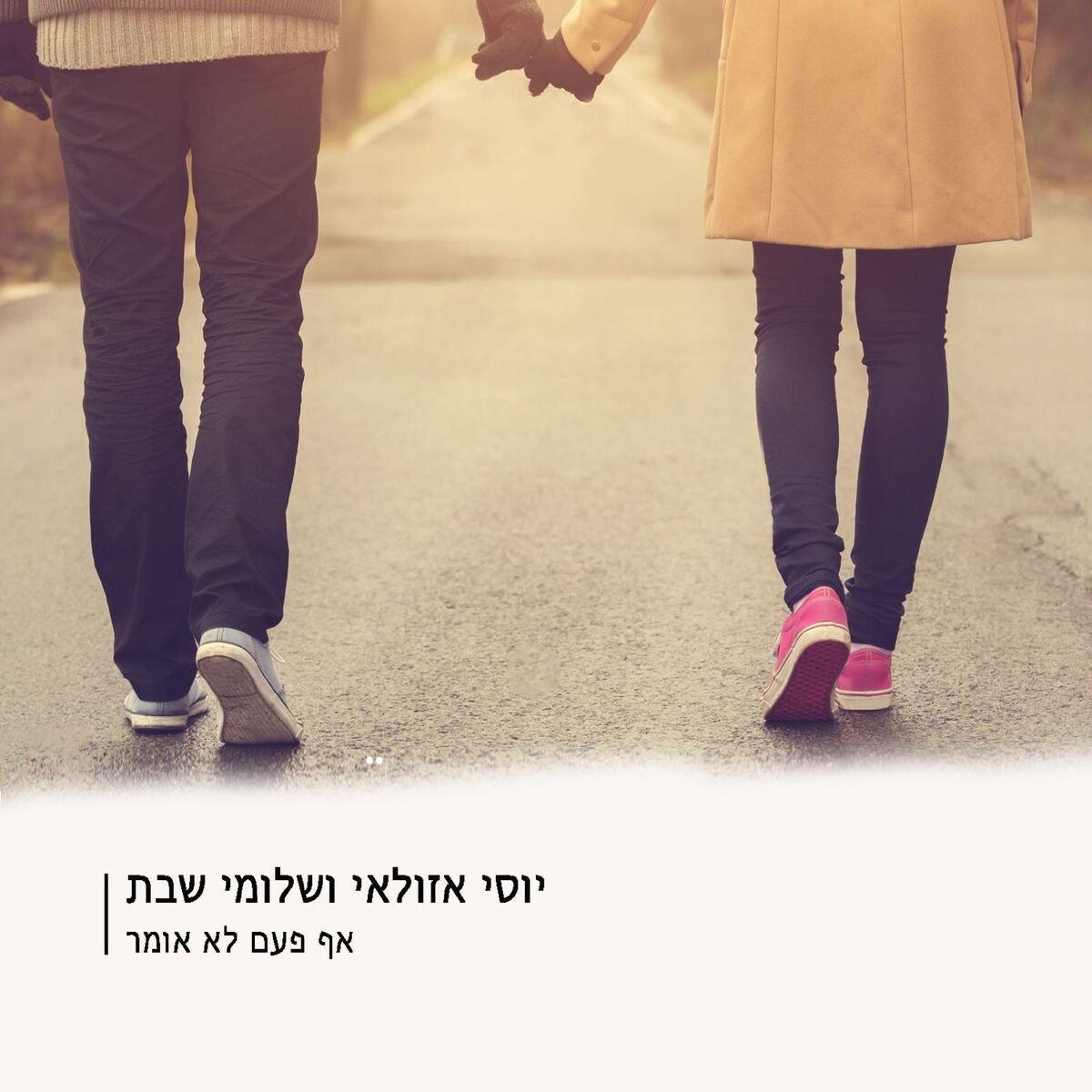 Album cover of אף פעם לא אומר