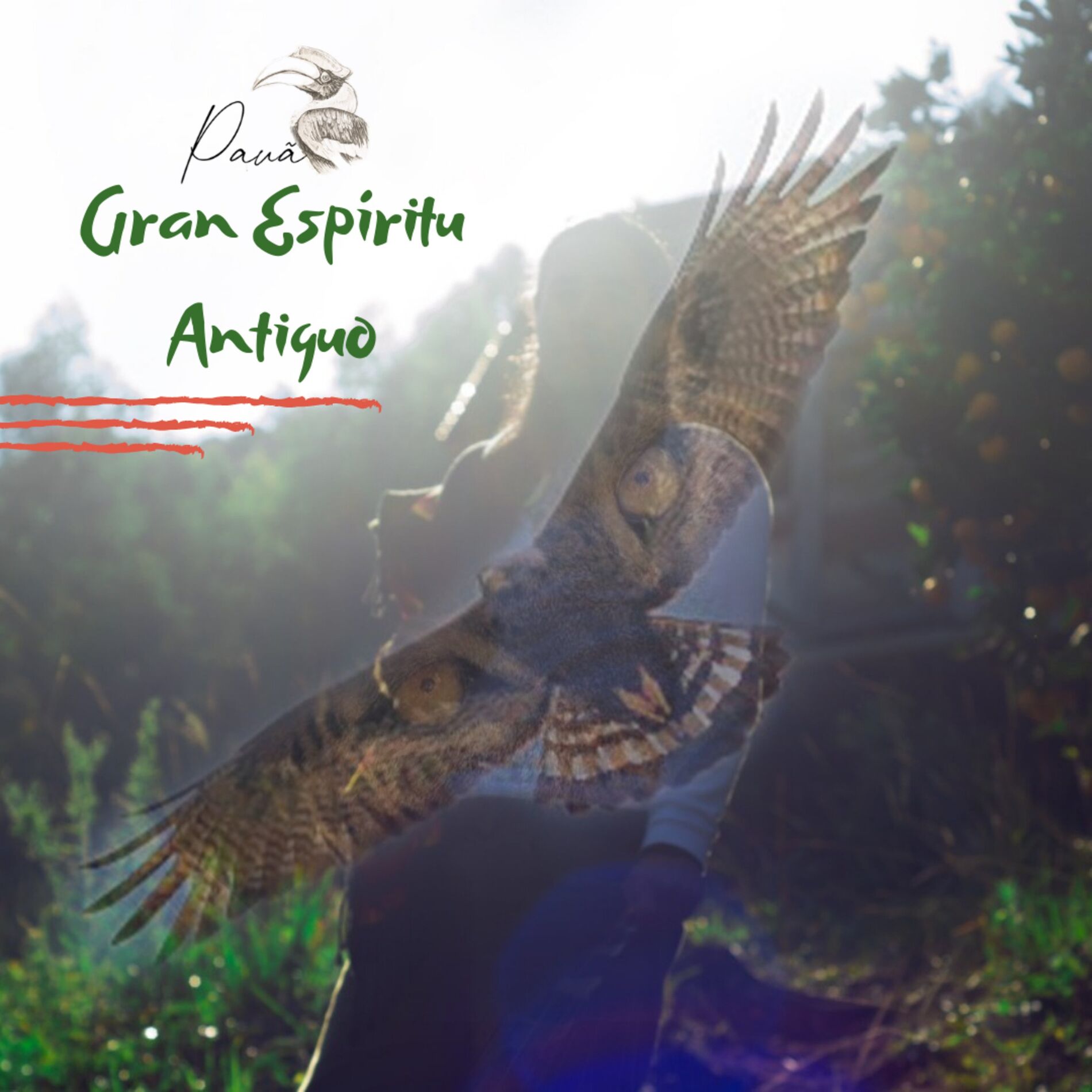 Album cover of Gran Espíritu Antiguo