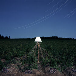 Cover of Escapements