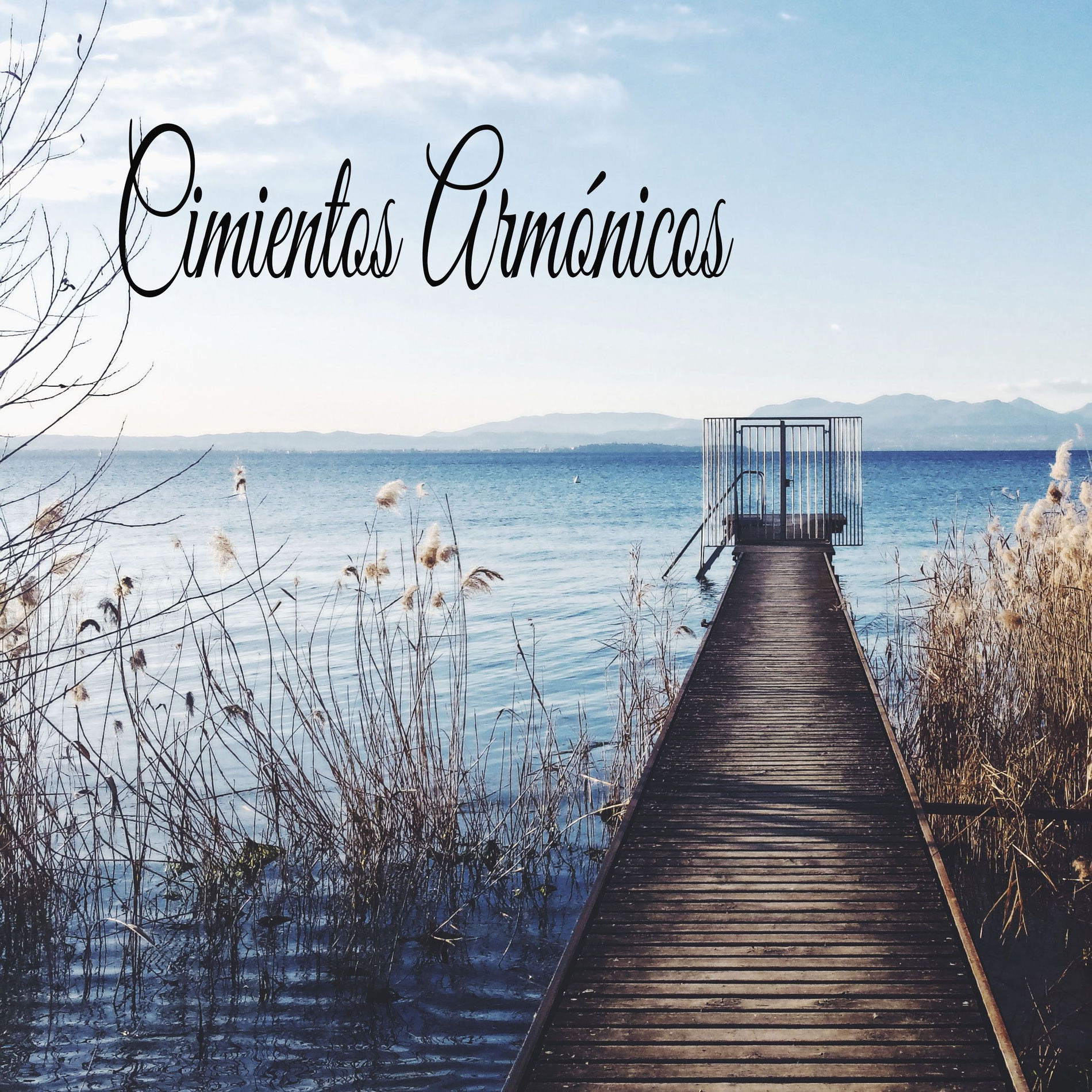 Album cover of Cimientos Armónicos