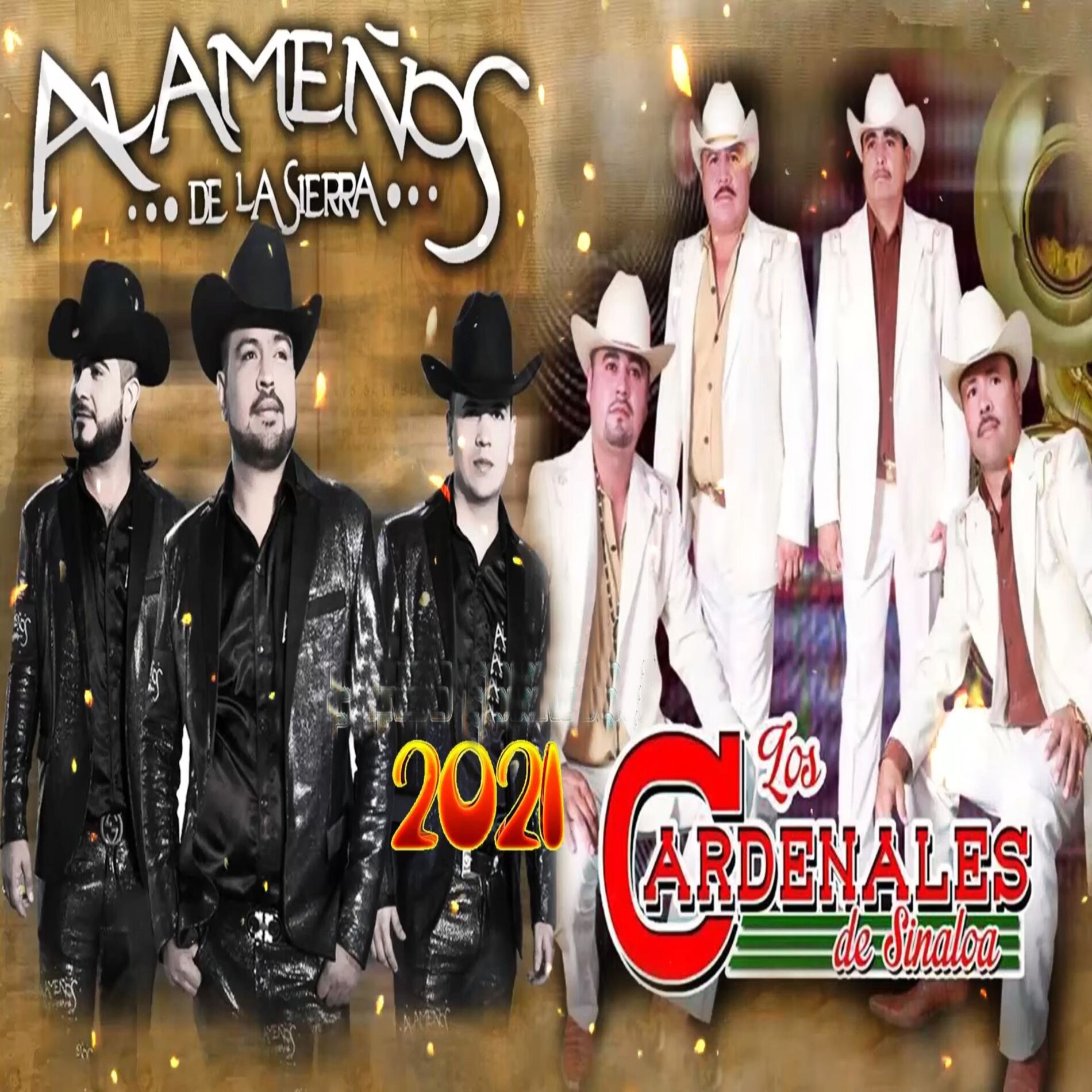 Album cover of En Vivo Fiesta Privada