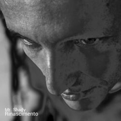 Cover of Rinascimento