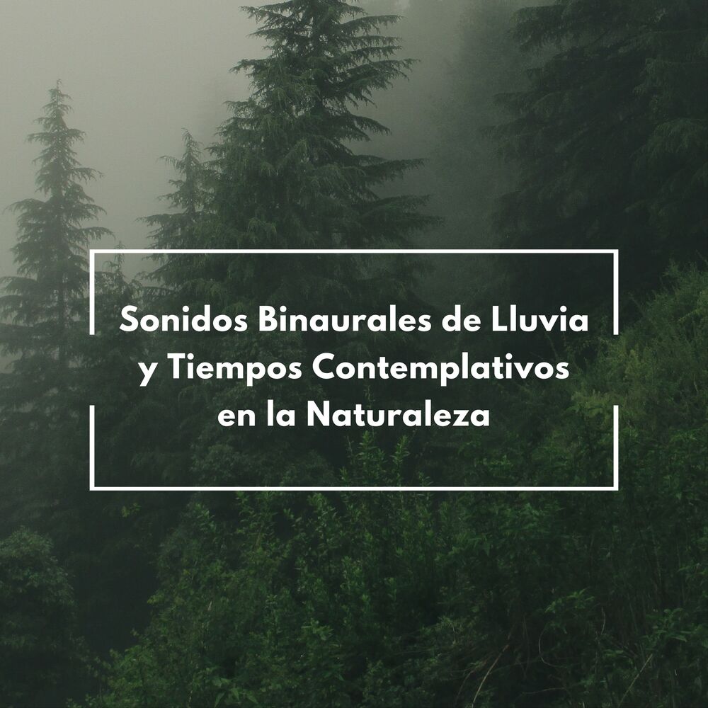 Picture of Sonidos Binaurales De Lluvia Y Tiempos Contemplativos En La Naturaleza