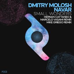 Cover of Small Wonders