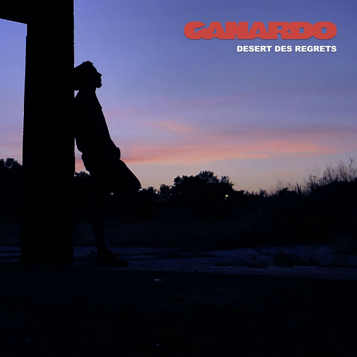 Album cover of Désert des regrets