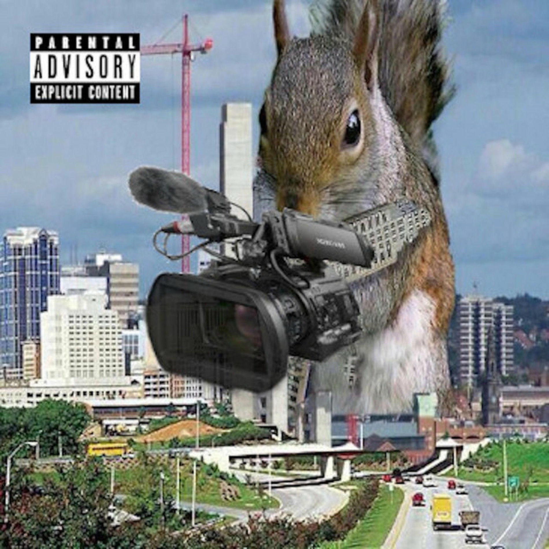 Album cover of 5qu1rr3l5 R C4M3R4s