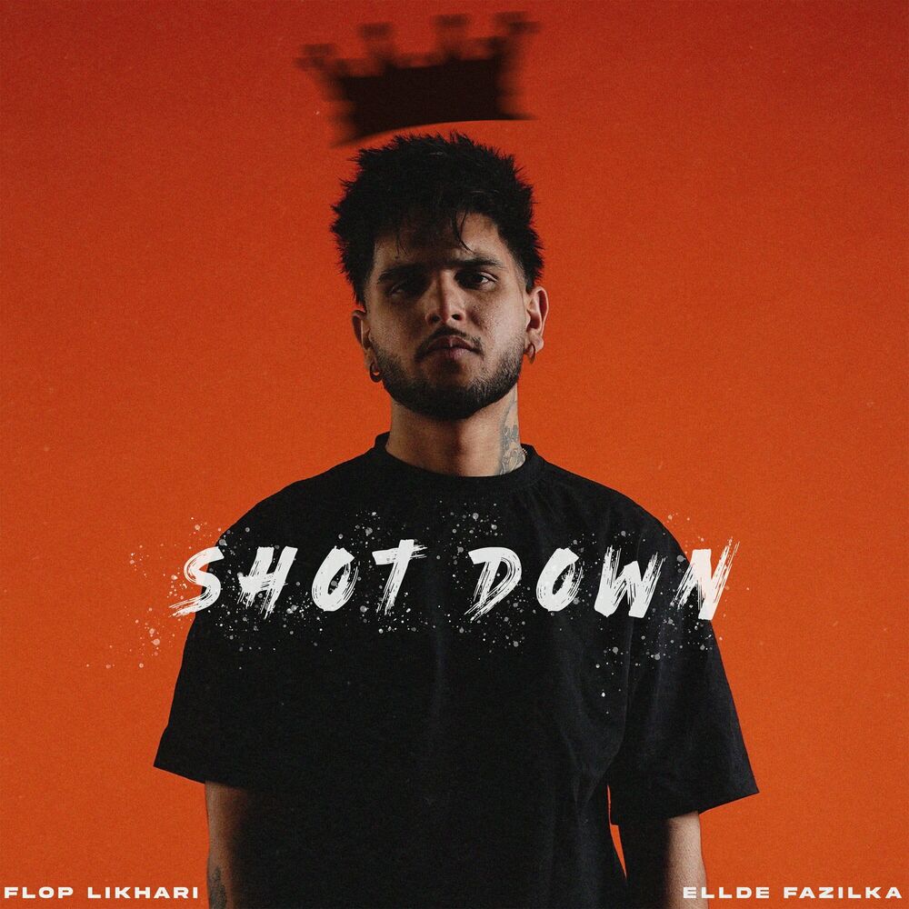 Picture of Shot Down