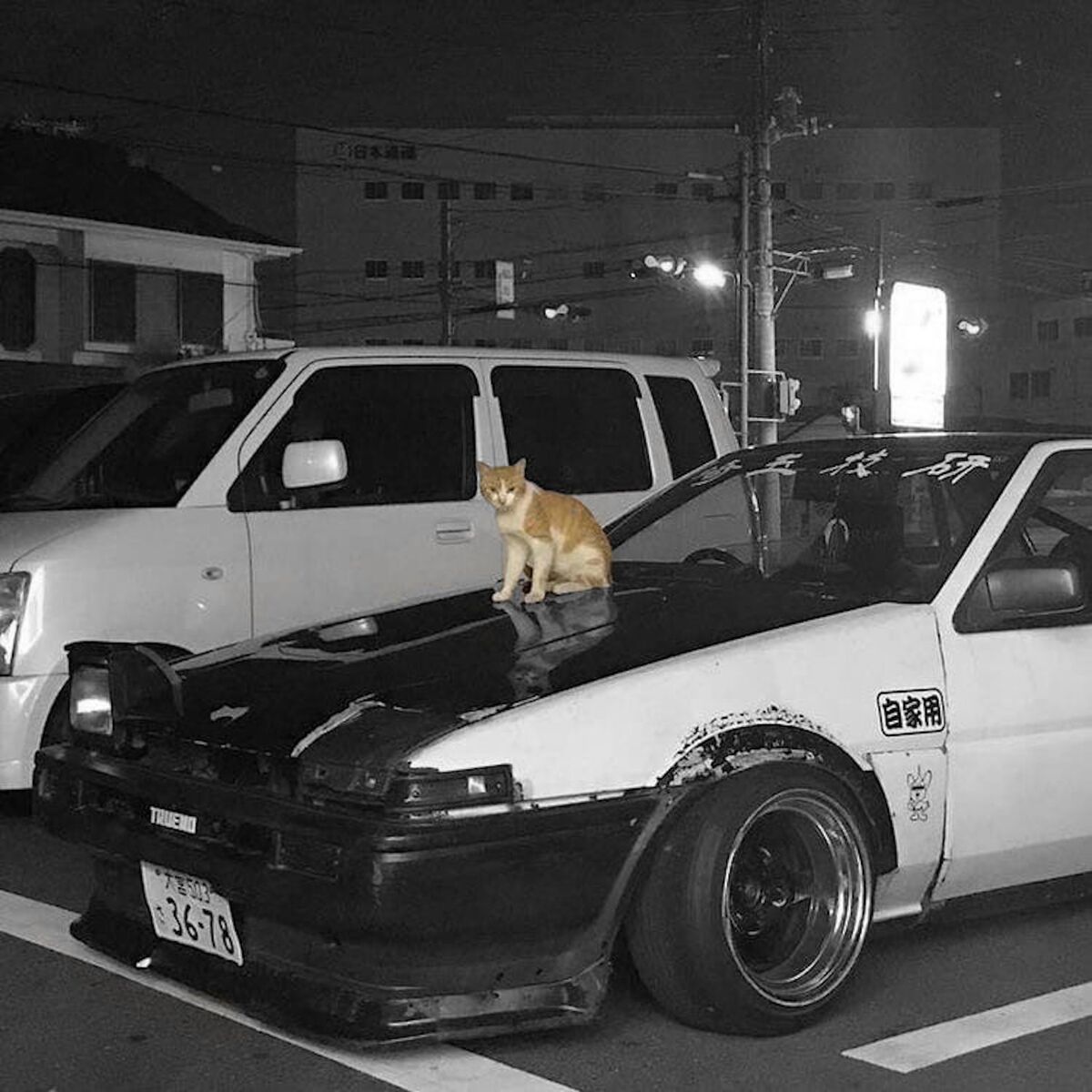 Album cover of kitty phonk