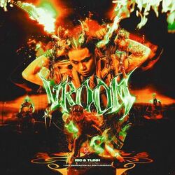 Cover of VROOM