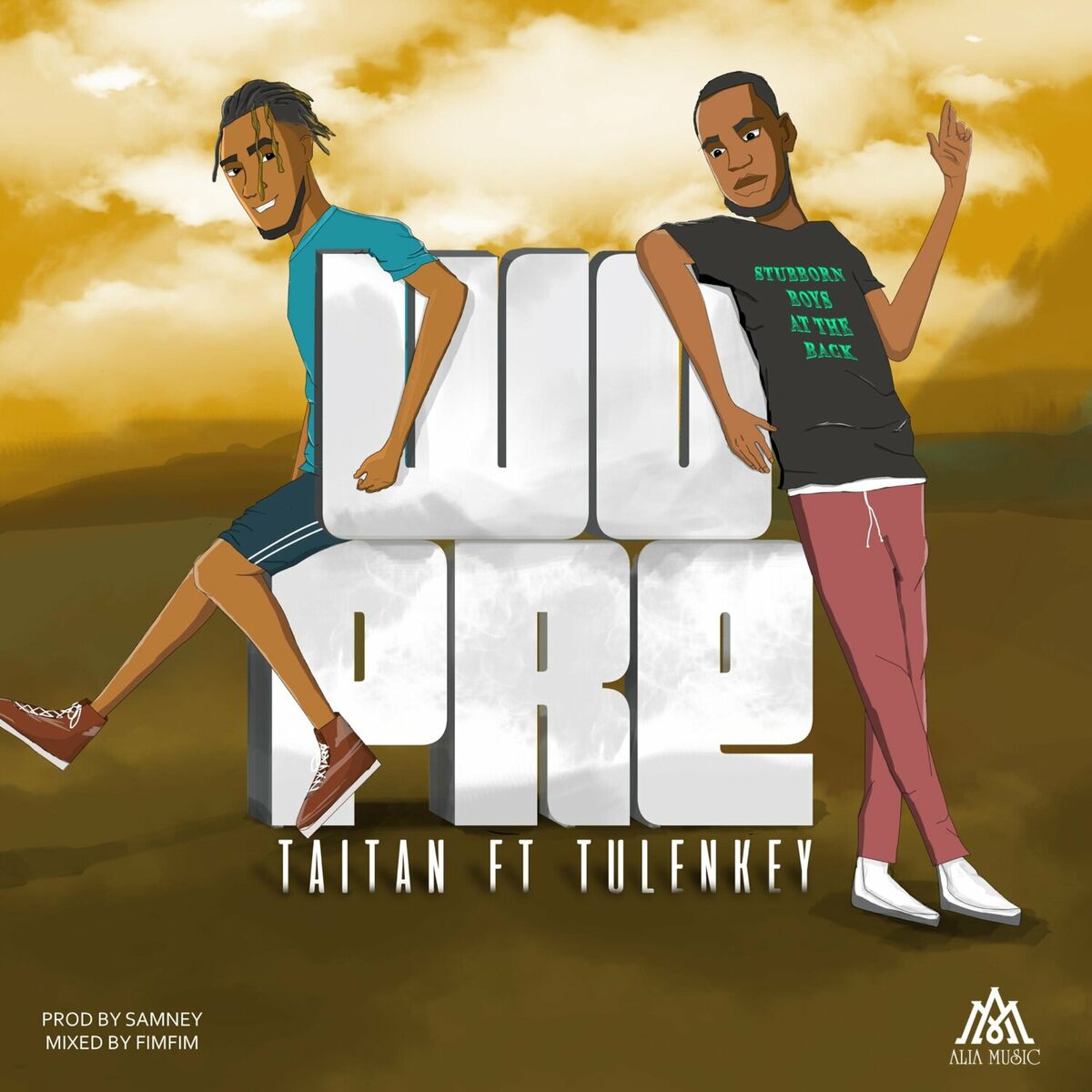 Album cover of Wopre