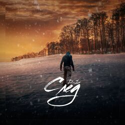 Cover of След