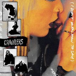 Cover of I Didn’t Know How To Say