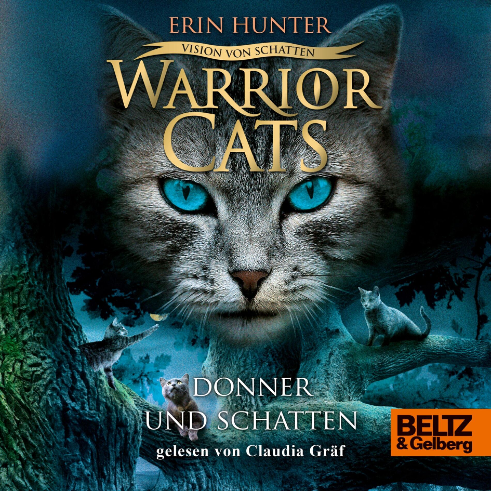 Album cover of Kapitel 1.1 - Warrior Cats - Vision von Schatten. Donner und Schatten