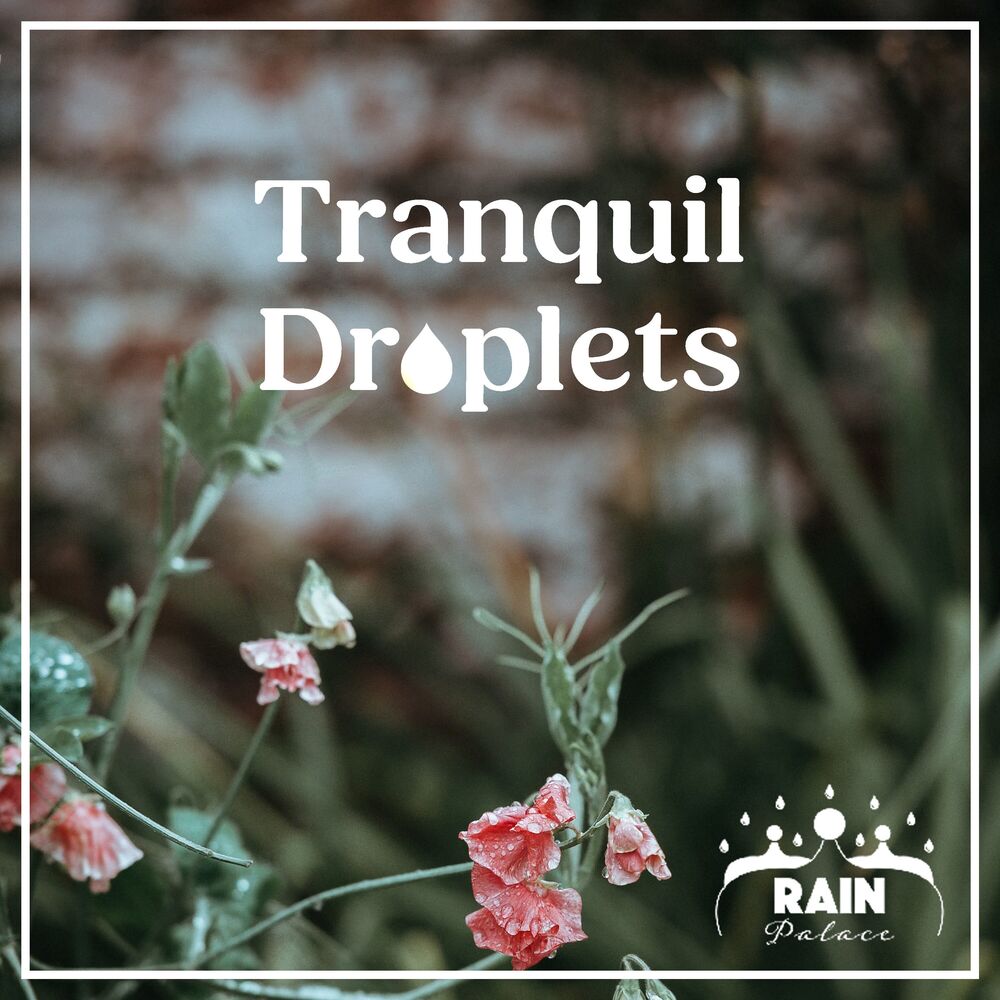 Picture of Tranquil Droplets