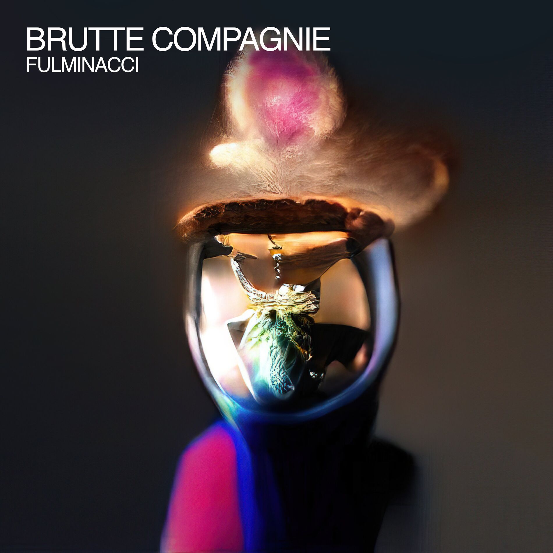 Album cover of Brutte compagnie