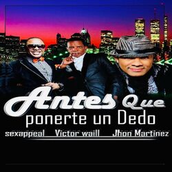 Cover of Antes Que Ponerte Un Dedo