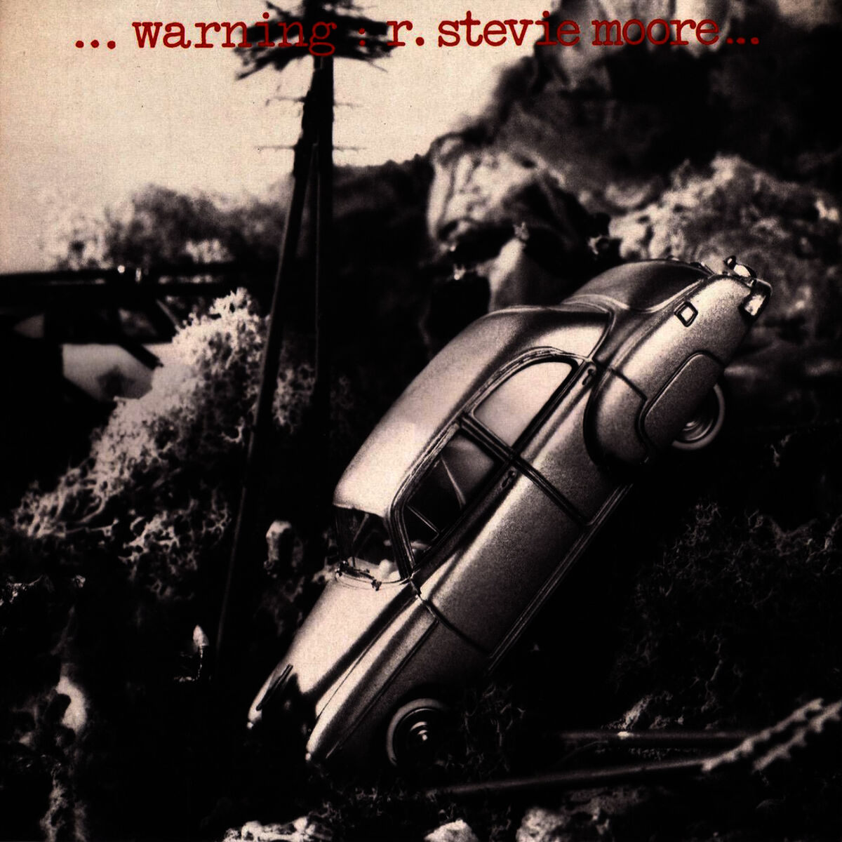 Album cover of Warning