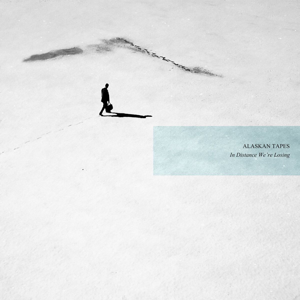Album cover of In Distance We're Losing