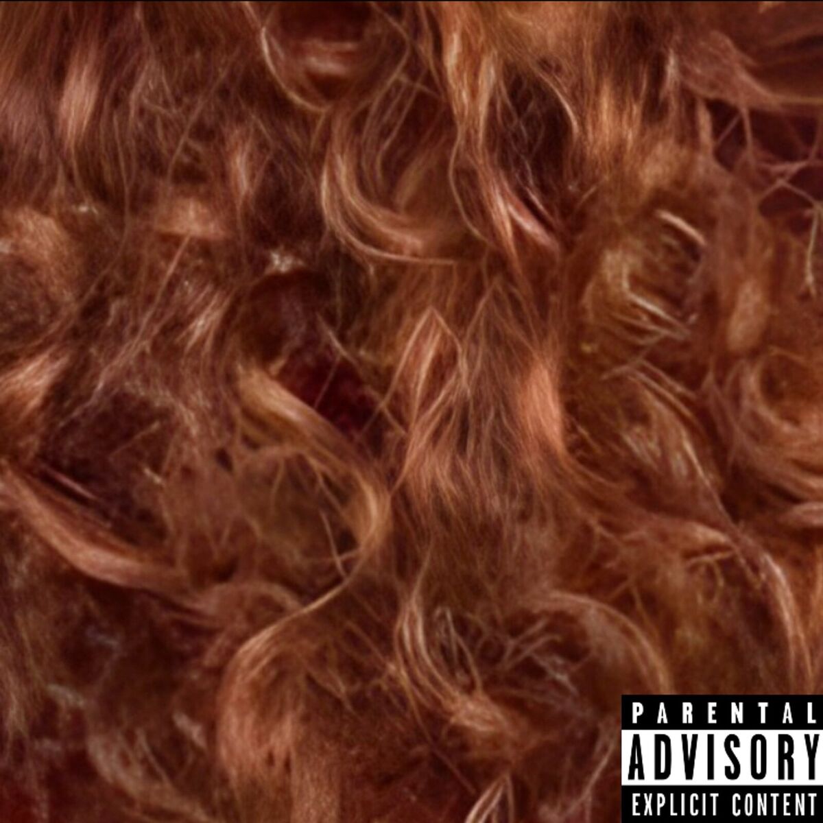 Album cover of LADY