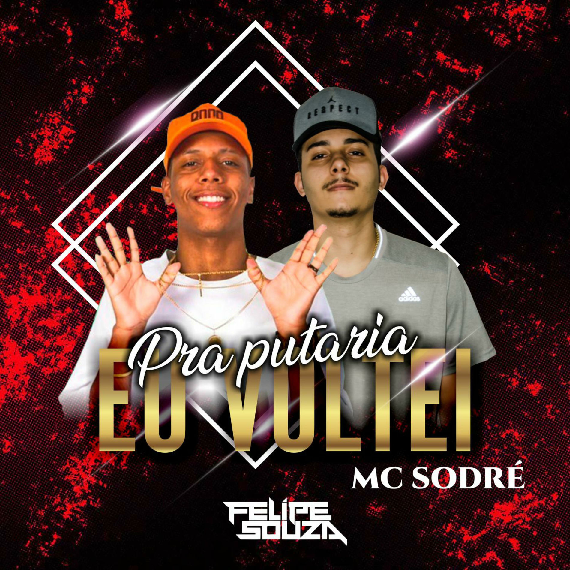 Album cover of Pra Putaria Eu Voltei