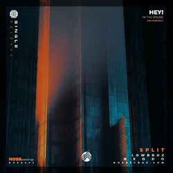 Cover of Split