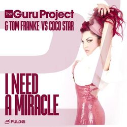 Cover of I Need a Miracle