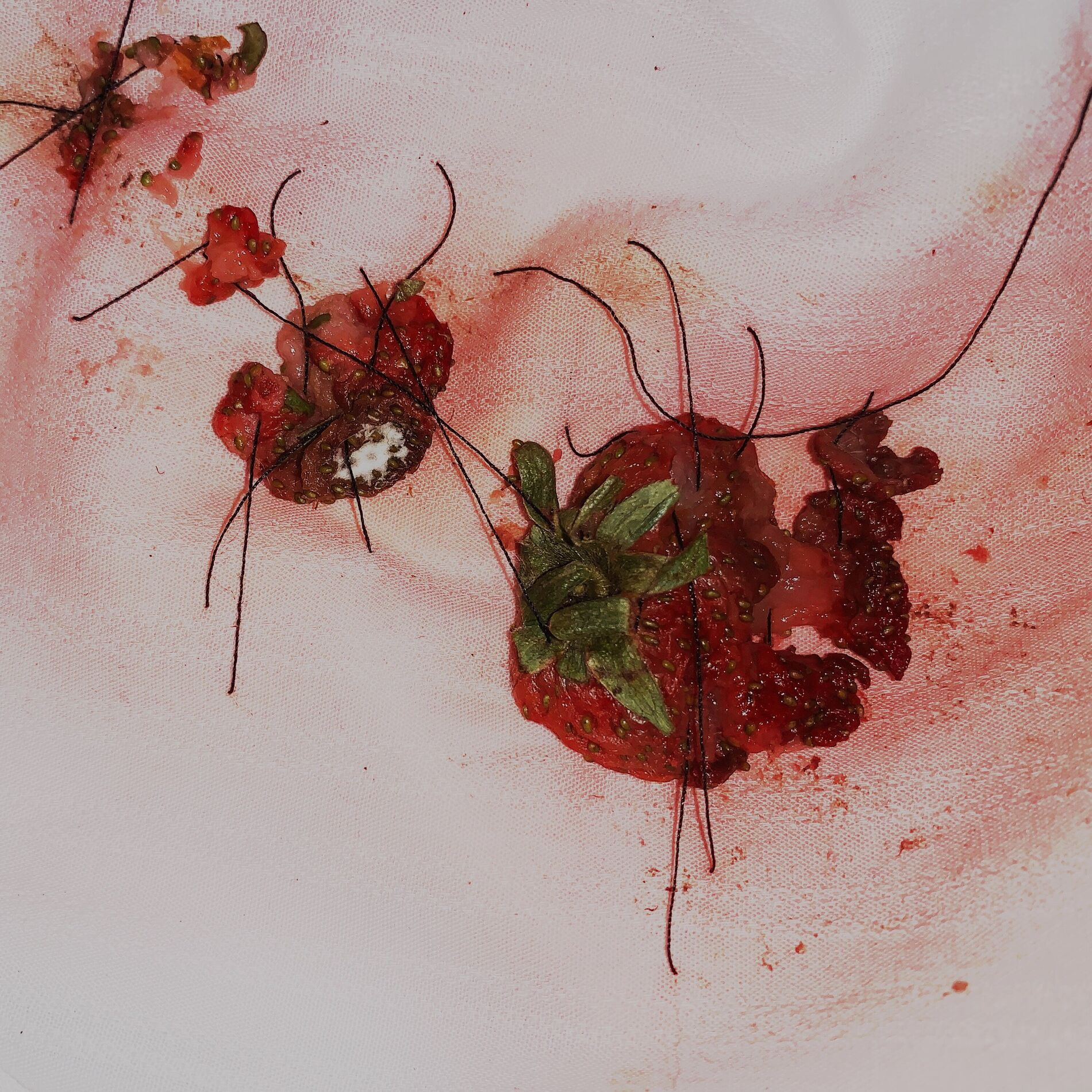 Album cover of stain