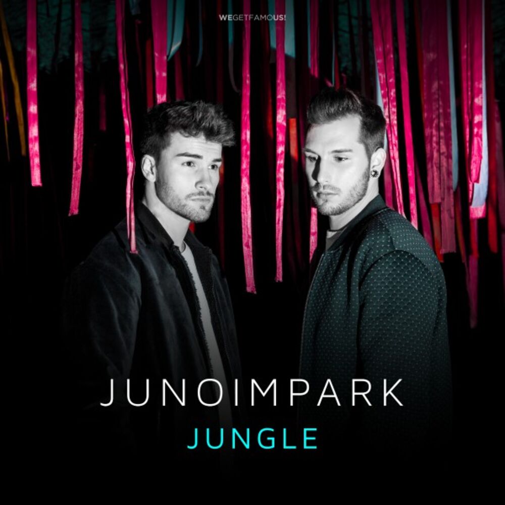 Picture of Jungle