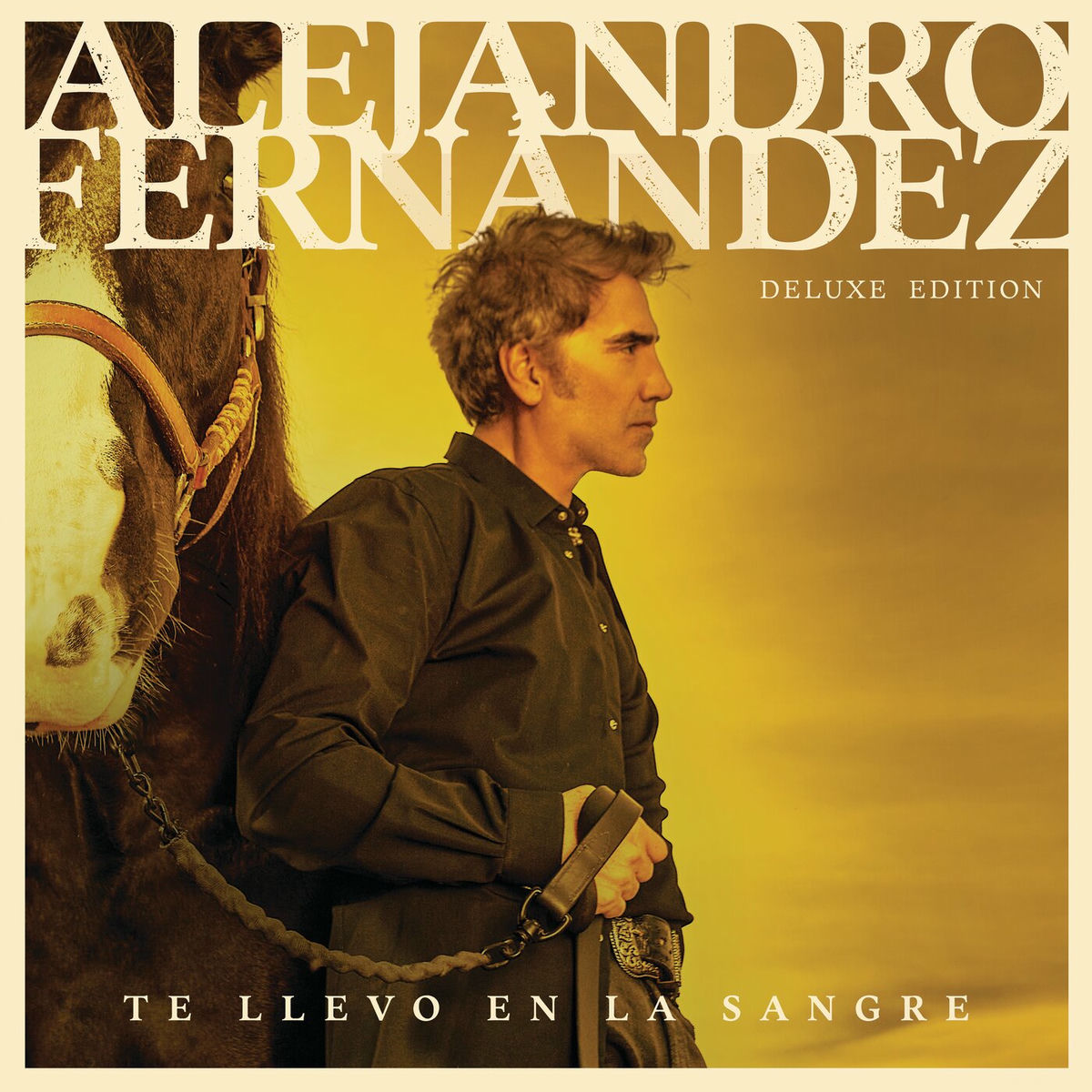 Album picture of Te Llevo En La Sangre (Deluxe Edition)