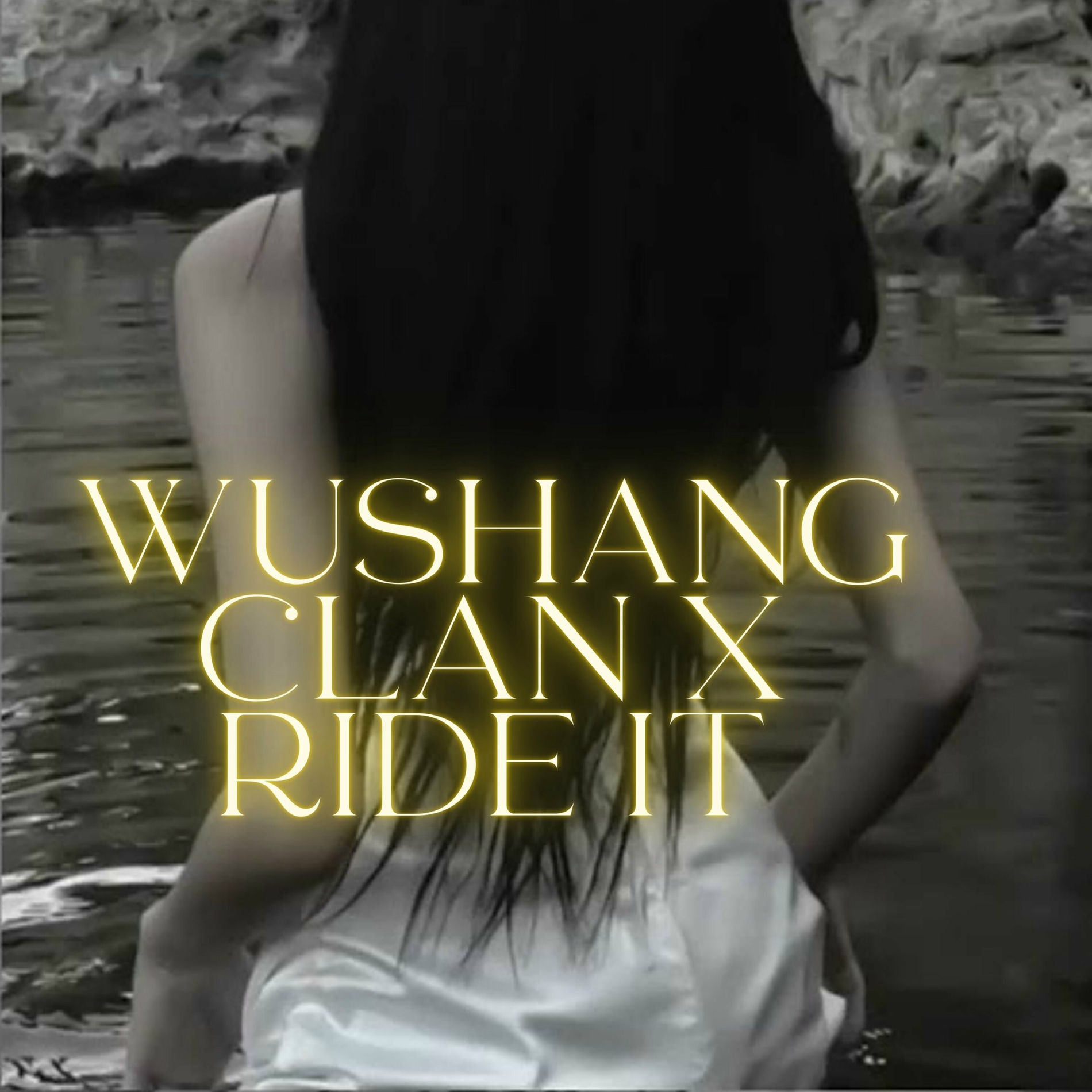 Album cover of WUSHANG CLAN X RIDE IT