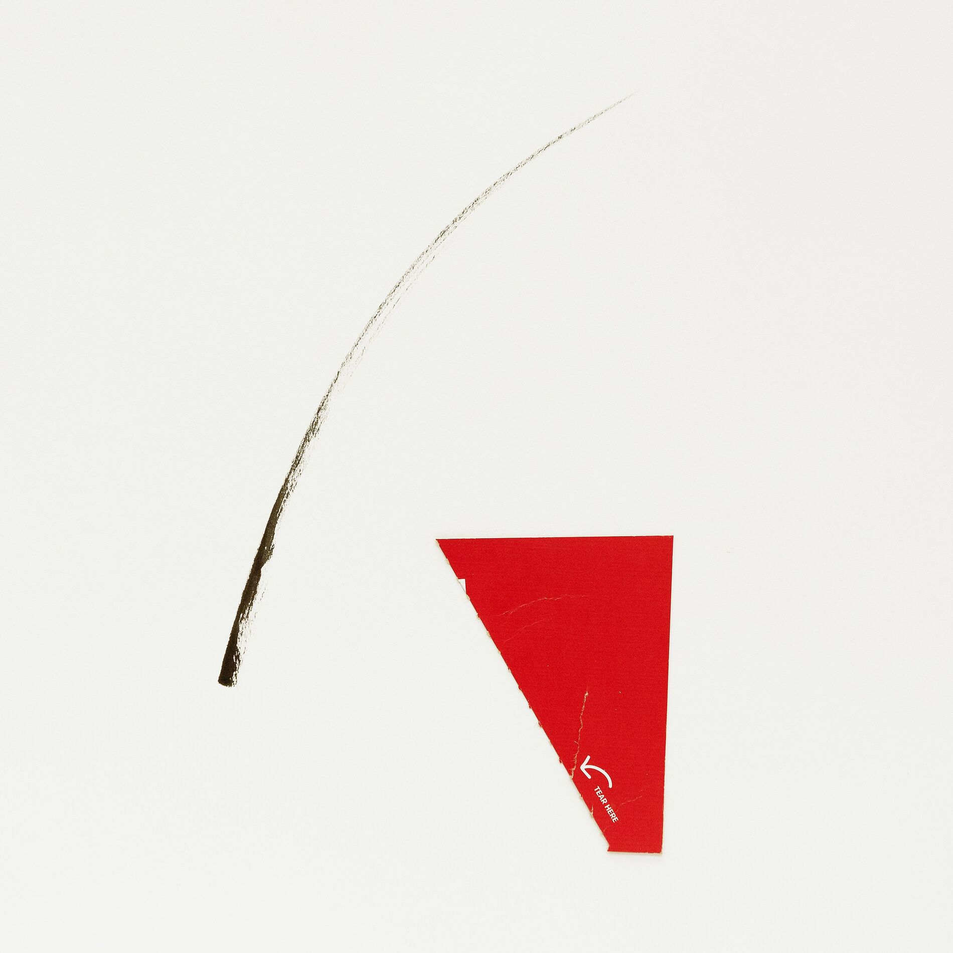 Album cover of By the Swings