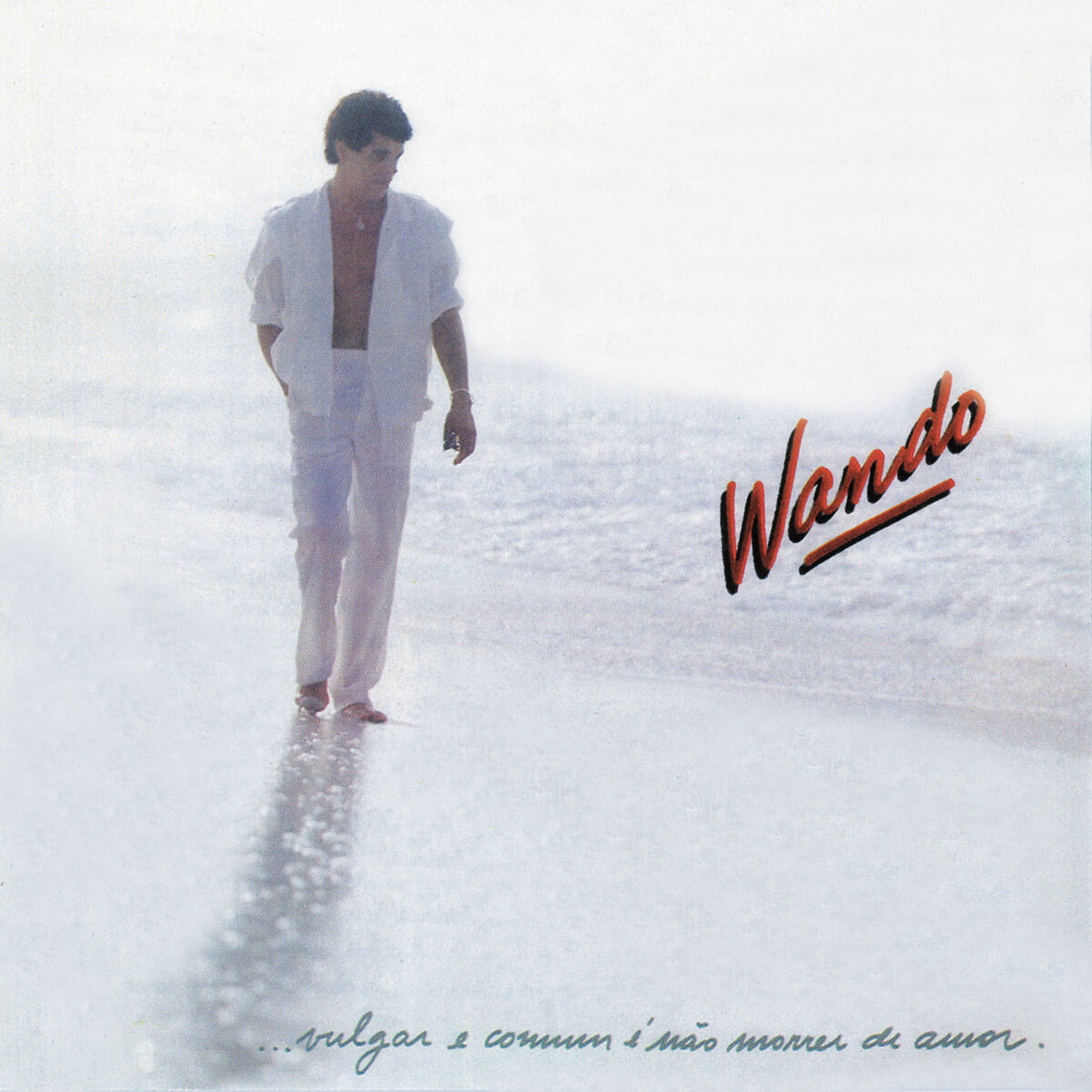 Album cover of Vulgar E Comum É Não Morrer De Amor