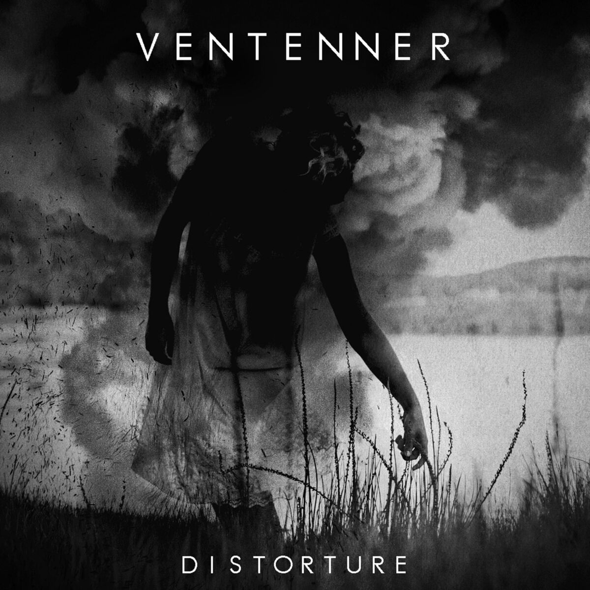 Album cover of Distorture