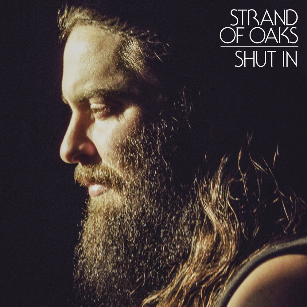 Picture of Shut In