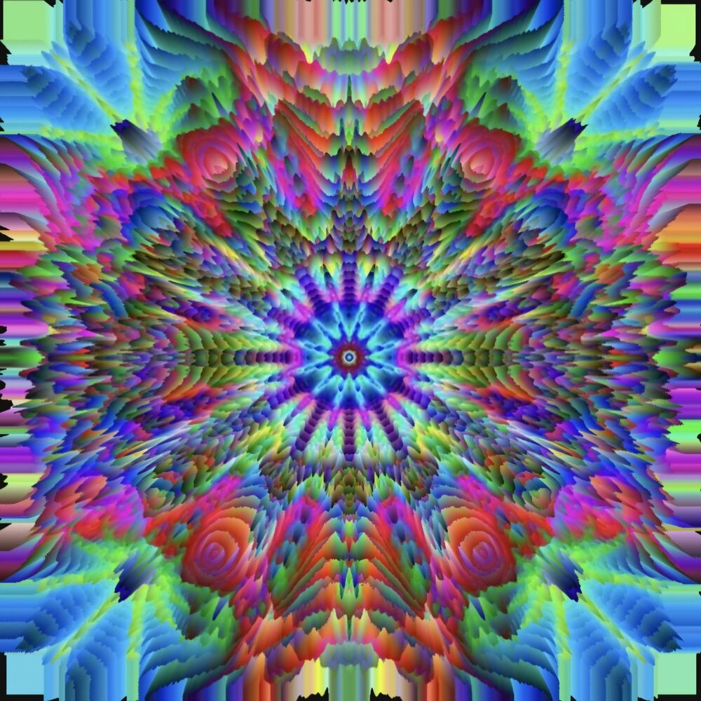 Picture of Molly