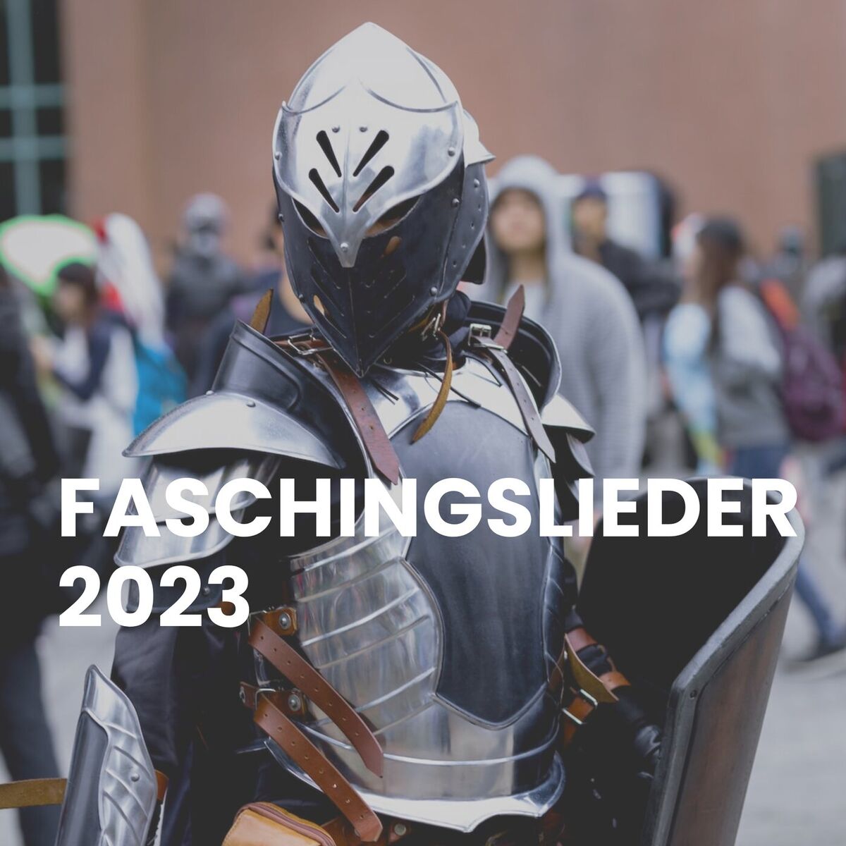 Album cover of Faschingslieder 2023
