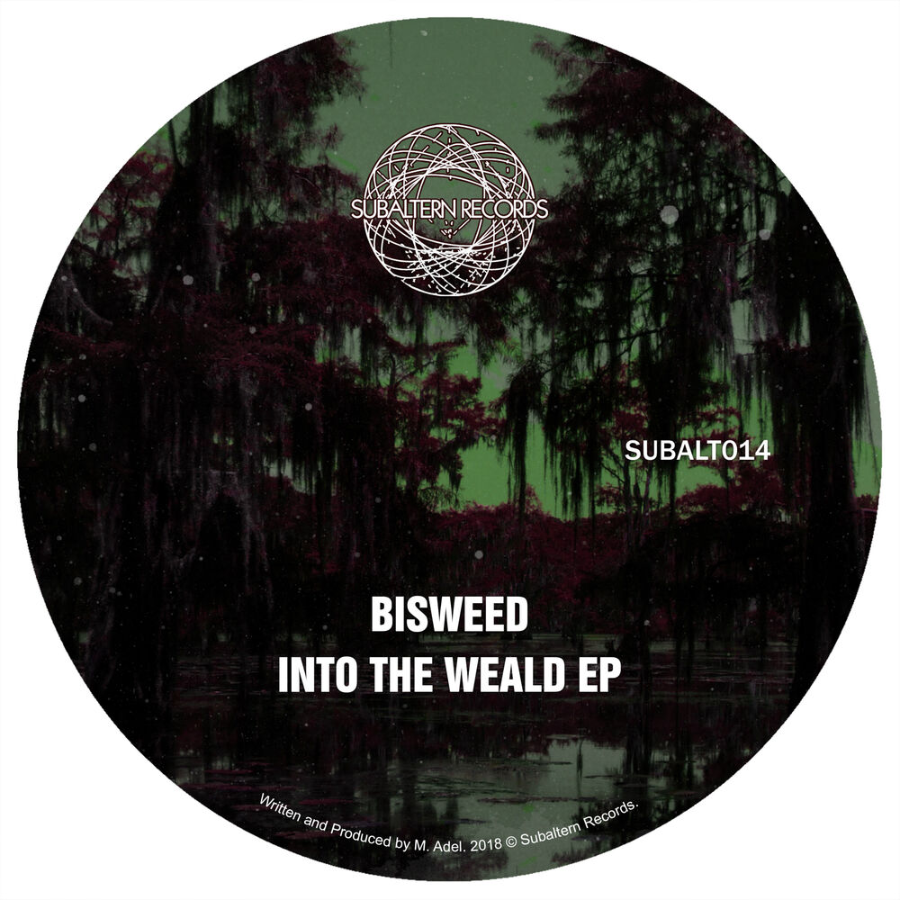 Picture of Into the Weald