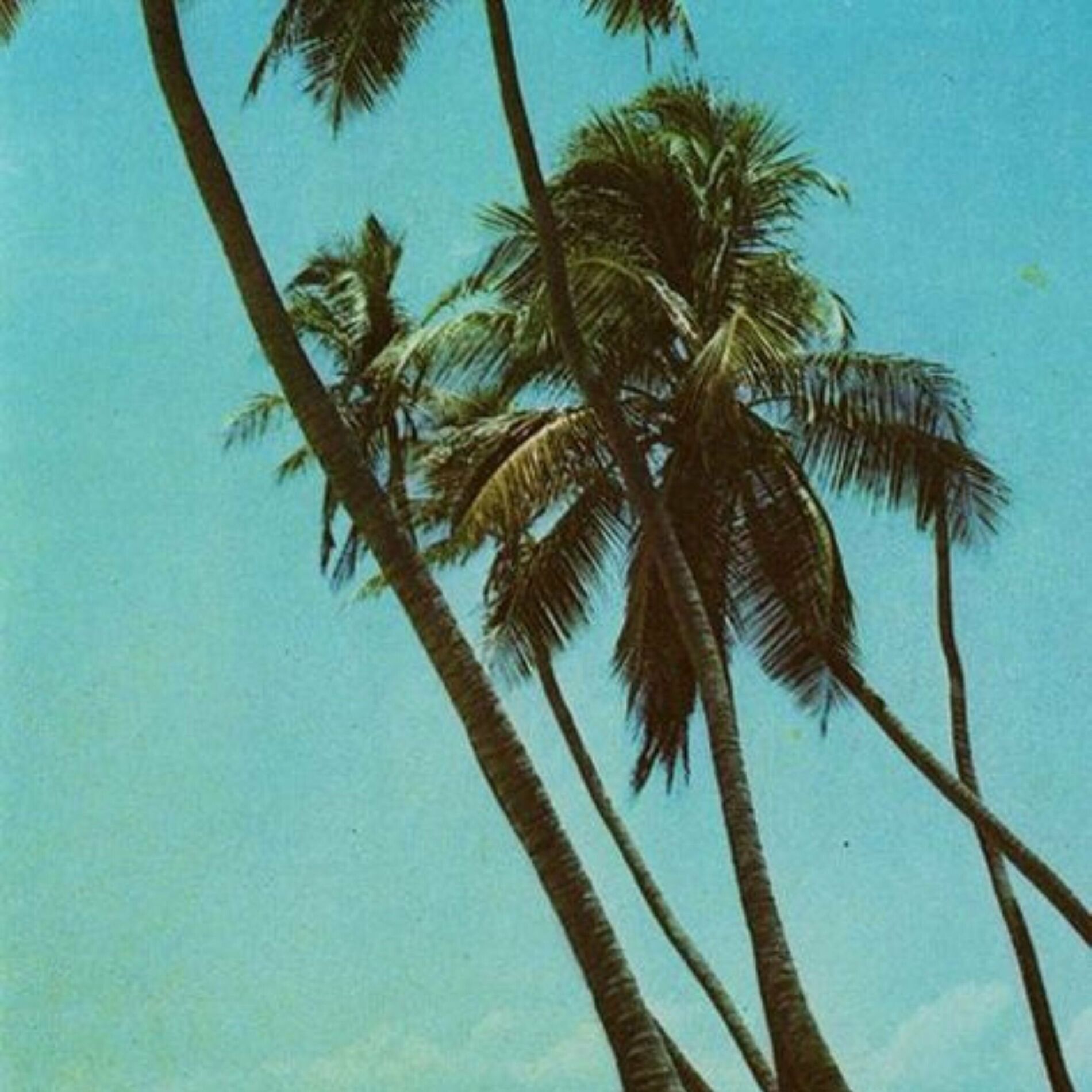 Album cover of Agosto