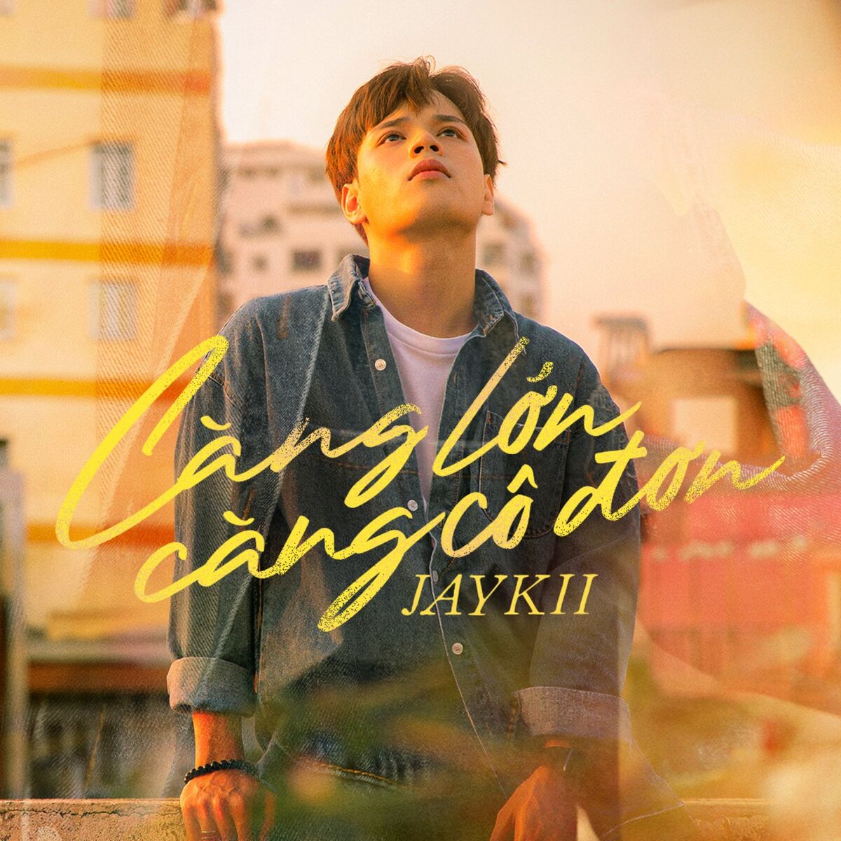 Album cover of Càng Lớn Càng Cô Đơn