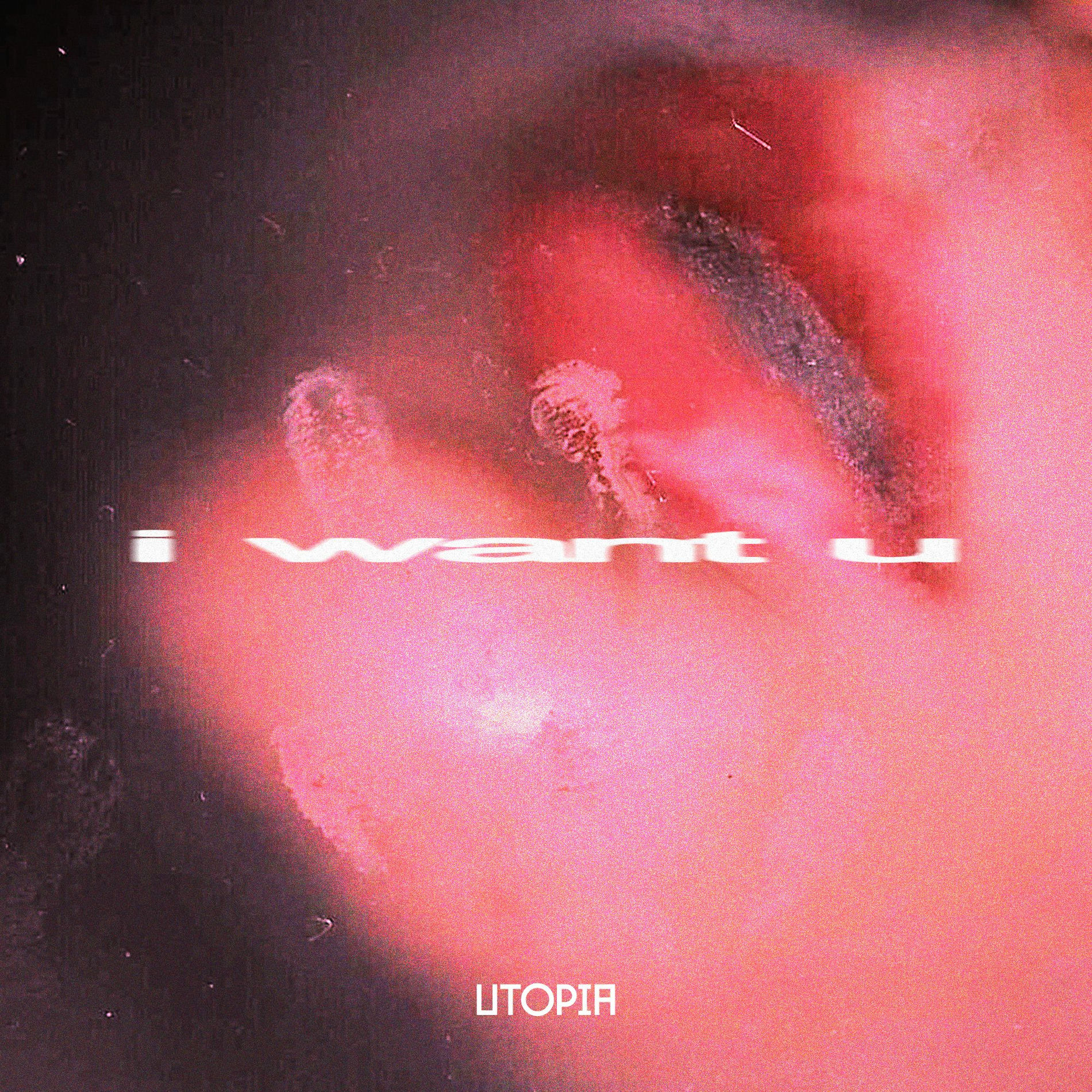 Album cover of i want u