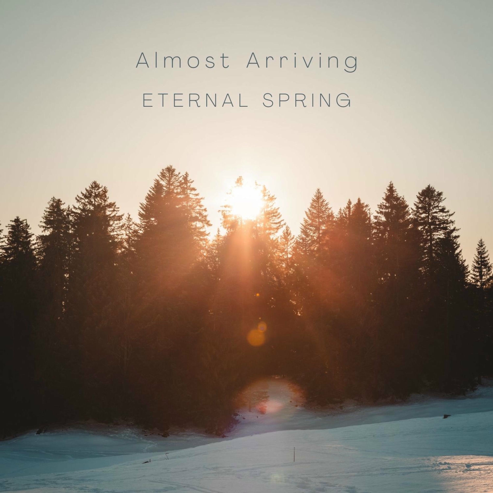 Album cover of Almost Arriving