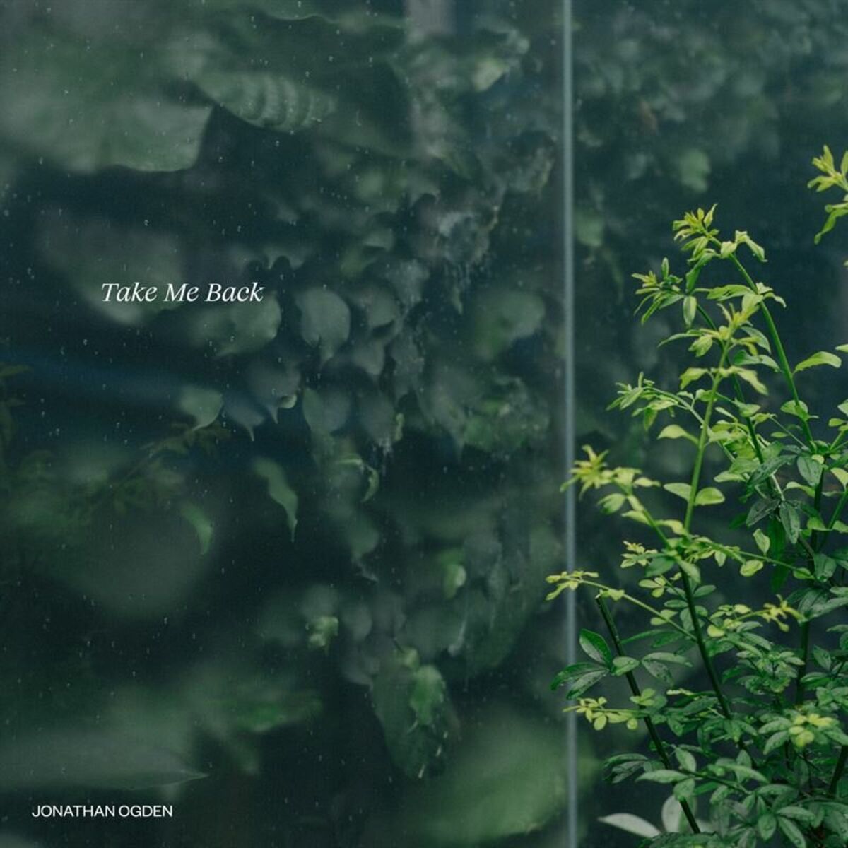 Album cover of Take Me Back