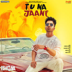 Cover of Tu Na Jaane (From "Ishqaa") - Single