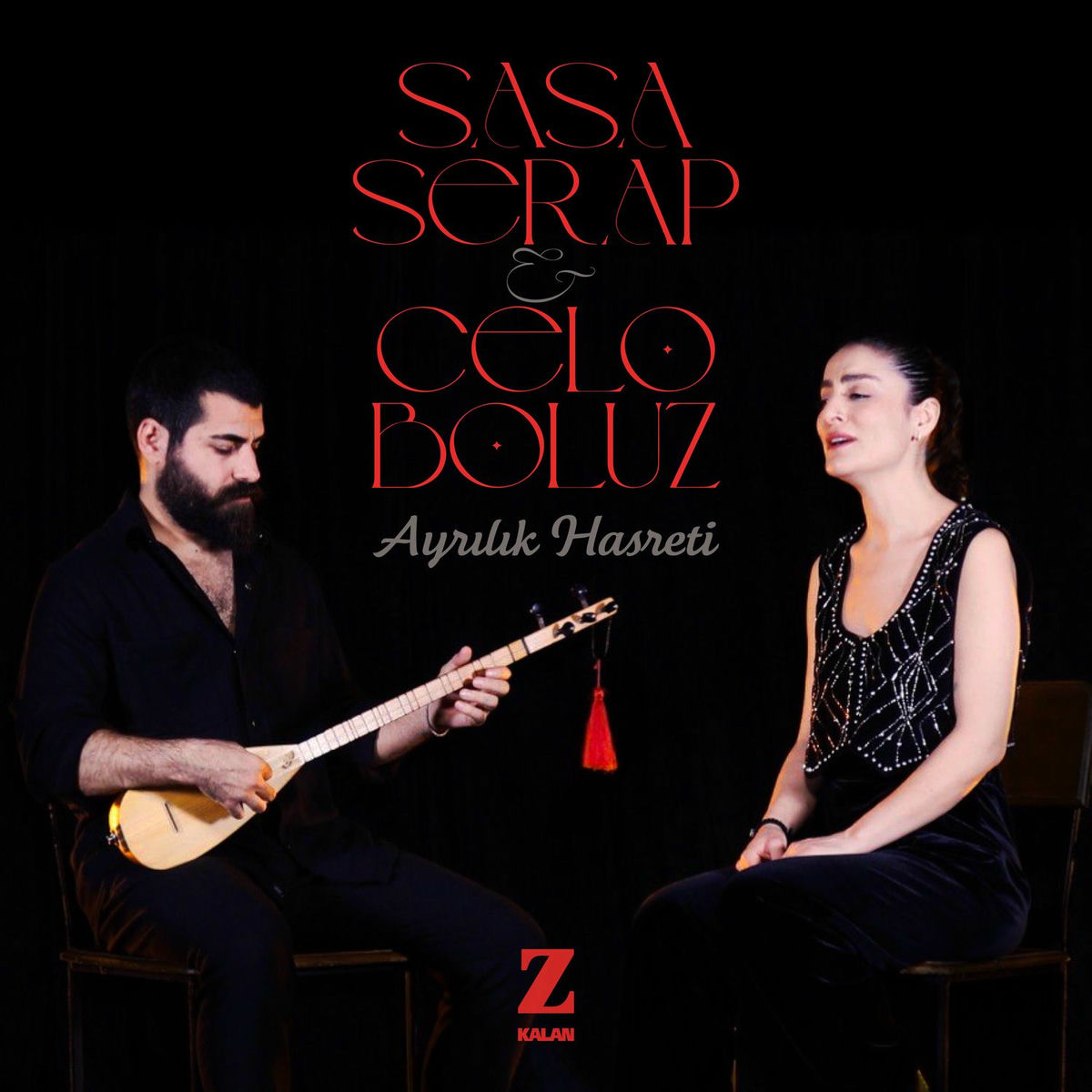 Album cover of Ayrılık Hasreti