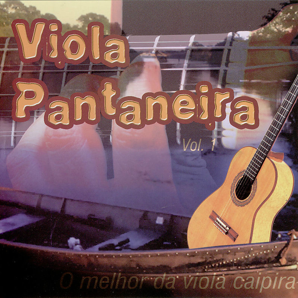 Album cover of Viola Pantaneira